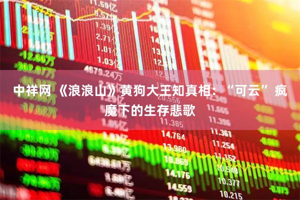 中祥网 《浪浪山》黄狗大王知真相：“可云” 疯魔下的生存悲歌