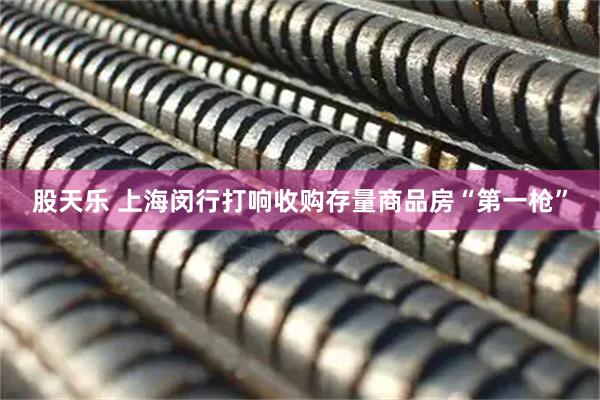 股天乐 上海闵行打响收购存量商品房“第一枪”