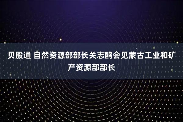 贝股通 自然资源部部长关志鸥会见蒙古工业和矿产资源部部长