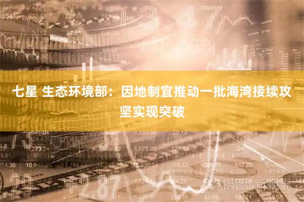 七星 生态环境部：因地制宜推动一批海湾接续攻坚实现突破